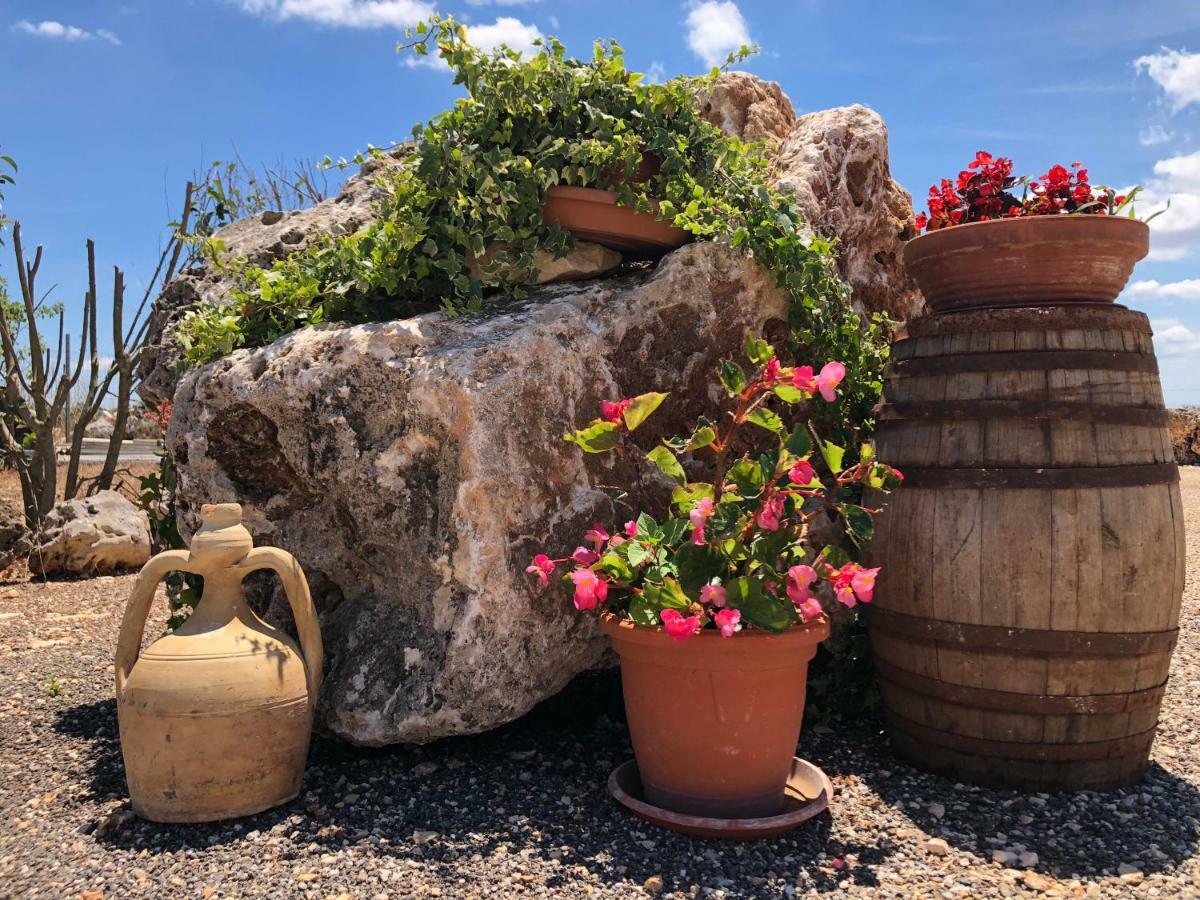 Masseria Paglieroni Martina Franca Ngoại thất bức ảnh
